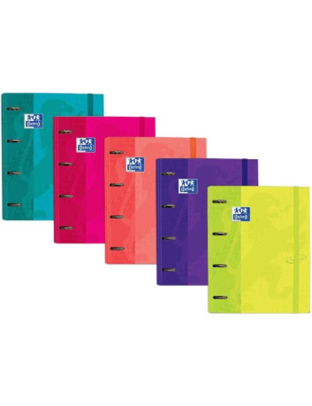 CARPETA 4 ANILLAS C/REC...