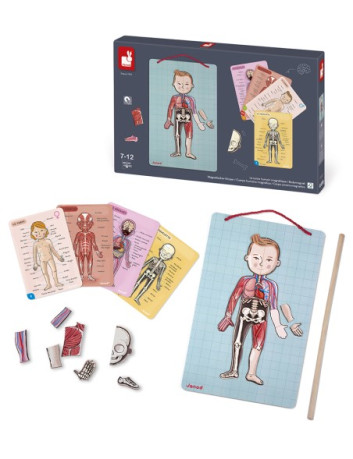 BODYMAGNET EN 12 IDIOMAS