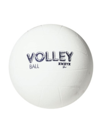 PELOTA DE VOLEIBOL DE 21cm....