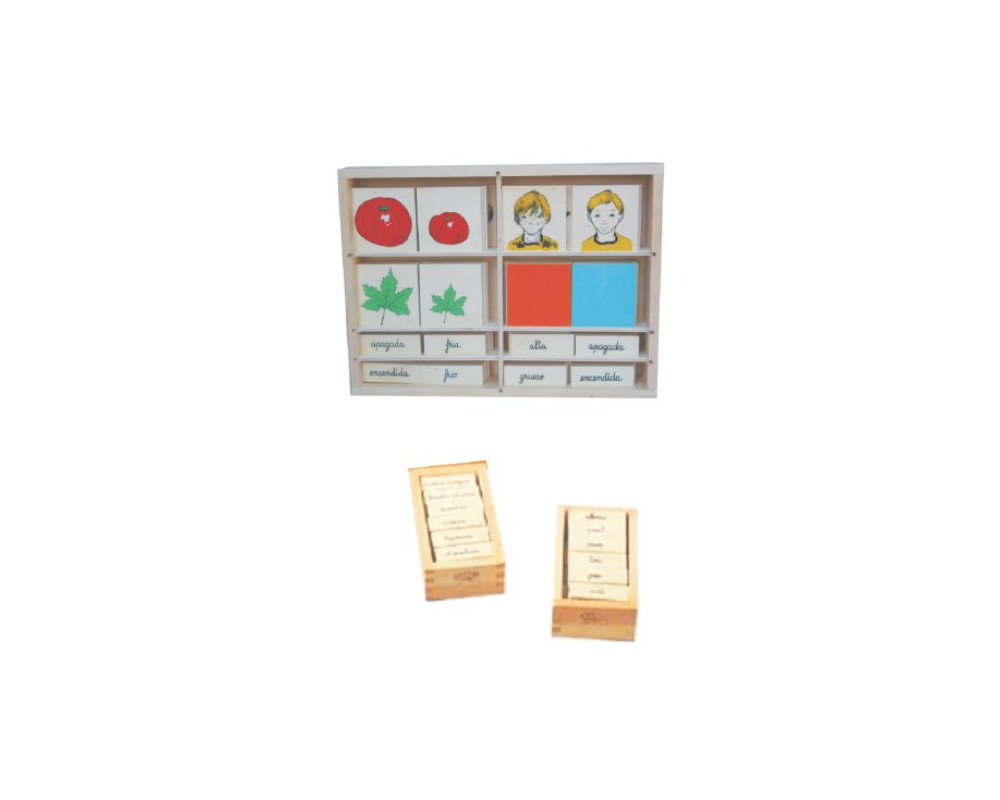 LENGUAJE ADJETIVOS...