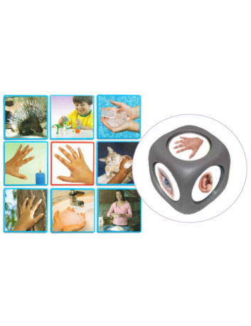 JUEGO FOTOGRAFIA LOS 5...